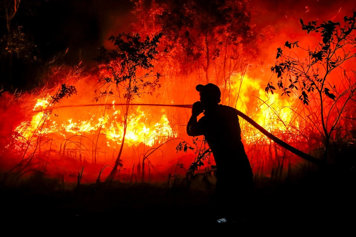 Government denies Malaysian firms involved in Indonesia forest fires, says Noraini