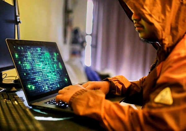 Elevate cybersecurity to national security priority – experts