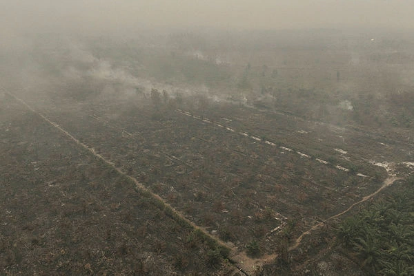 Image from: Fahmi: No Malaysian plantation firms linked to Indonesia fires