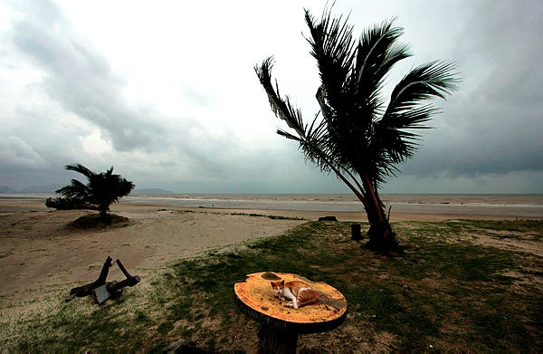 Northeast Monsoon begins, public urged to stay vigilant