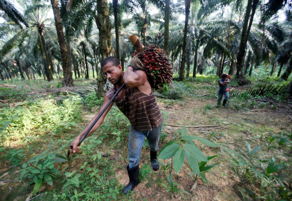 Govt will not obstruct investigations into alleged FELDA wrongdoing – Anwar