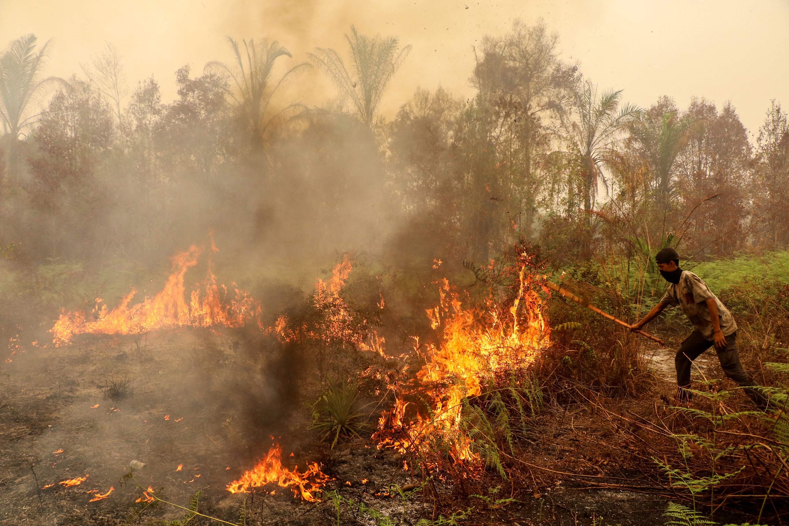 Johor urges ASEAN emergency meeting to tackle cross-border haze
