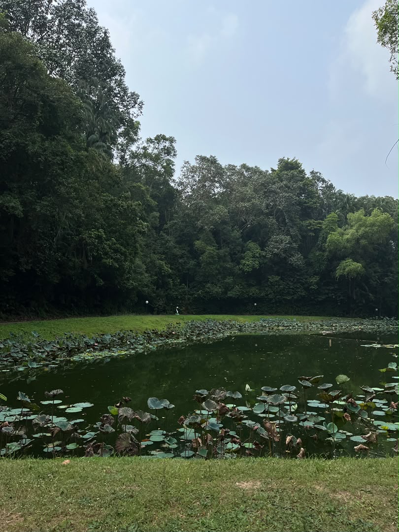 Club Med Cherating: The all-inclusive resort to add to your 2028 travel plans Club Med Cherating: The all-inclusive resort to add to your 2028 travel plans