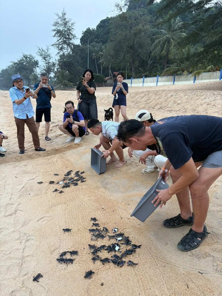 Club Med Cherating: The all-inclusive resort to add to your 2028 travel plans Club Med Cherating: The all-inclusive resort to add to your 2028 travel plans