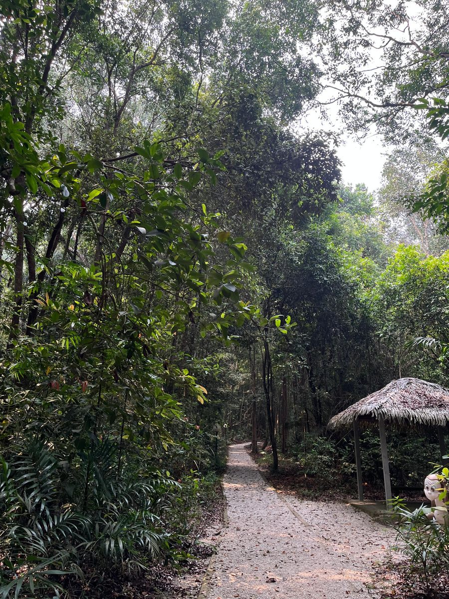Club Med Cherating: The all-inclusive resort to add to your 2028 travel plans Club Med Cherating: The all-inclusive resort to add to your 2028 travel plans